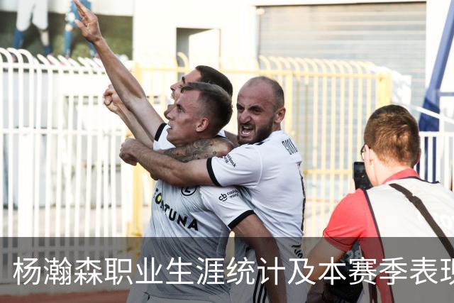 杨瀚森职业生涯统计及本赛季表现分析